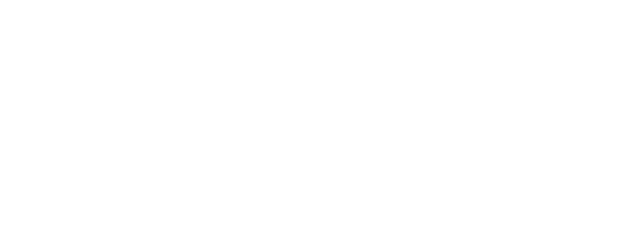 Slang Logo